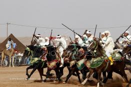 Image du Maroc Professionnelle de  Course typiquement marocaine dite ''la Fantasia'' organisé dans un site désertique sur lequel la ville de Tan Tan a toujours accueilli la majorité des tribus et des grandes familles nomades du désert lors d'un grand moussem, Samedi 24 Mars 2012. (Photo / Abdeljalil Bounhar)

 